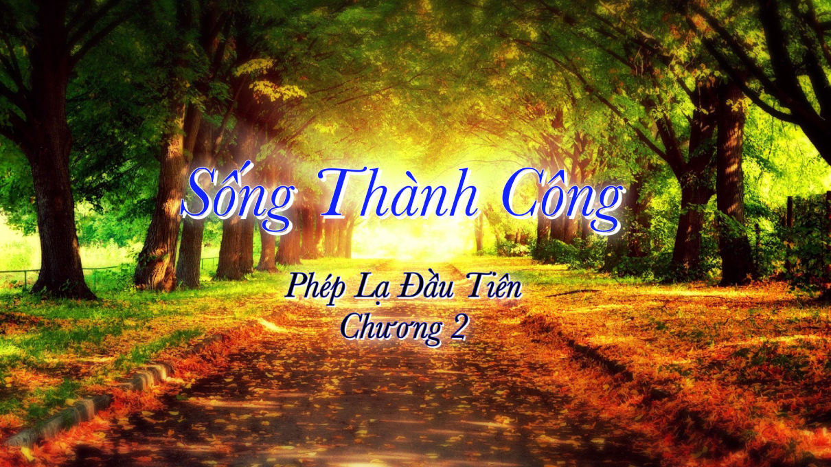 songthanhcong02 1210x680