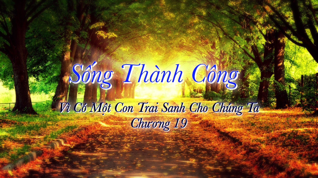 songthanhcong19 1210x680