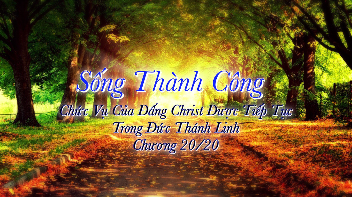 songthanhcong20 1210x680